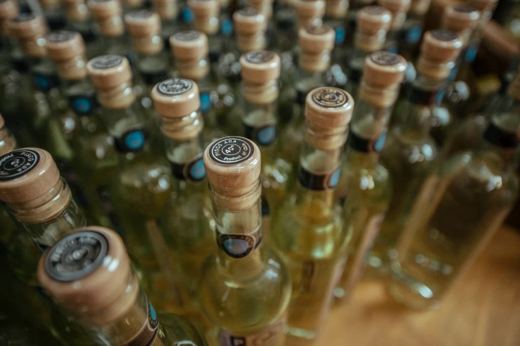 Degusta el Valle del Elqui